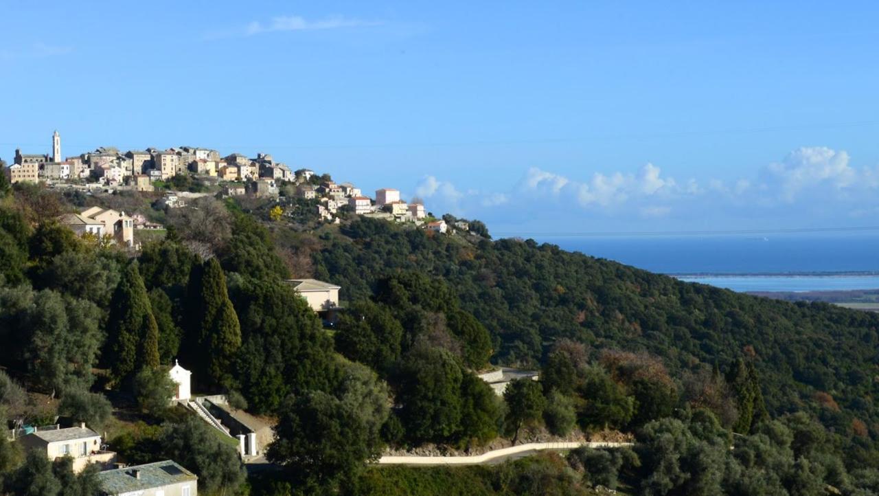 Au Coeur Du Village De Lucciana Lucciana  Luaran gambar